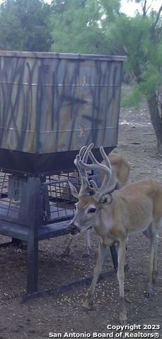 587 Valley Road Christoval, TX 76935 - Photo 24 of 41 a view of wooden fence