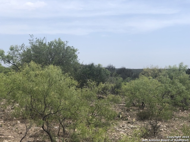 587 Valley Road Christoval, TX 76935 - Photo 26 of 41 a view of a city with lush green forest