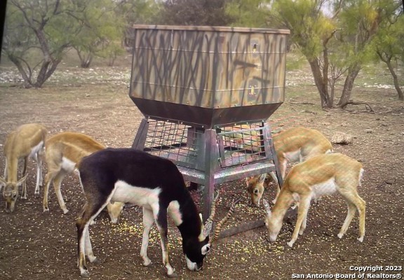 587 Valley Road Christoval, TX 76935 - Photo 3 of 41 a view of entryway with wooden floor