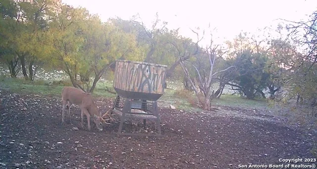a view of a chairs and table in the garden