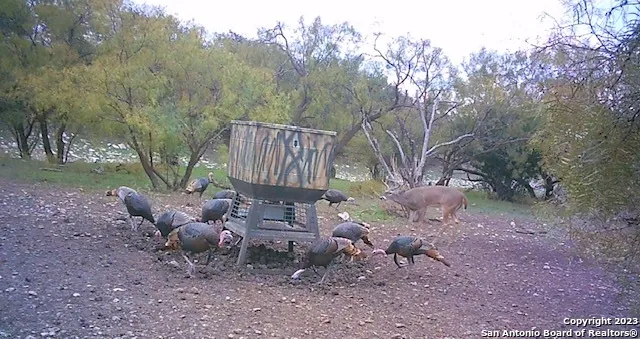 a view of a backyard with a patio and entertaining space