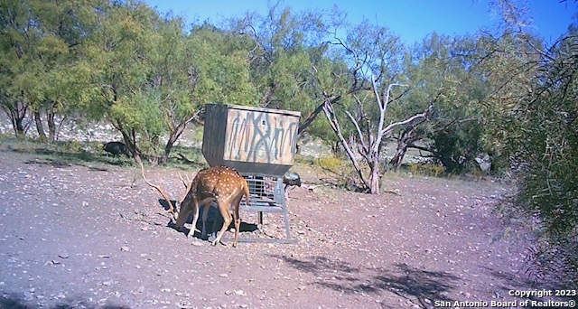 587 Valley Road Christoval, TX 76935 - Photo 35 of 41 a view of a chairs and table in the garden