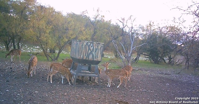 587 Valley Road Christoval, TX 76935 - Photo 36 of 41 a view of a backyard with a patio and entertaining space