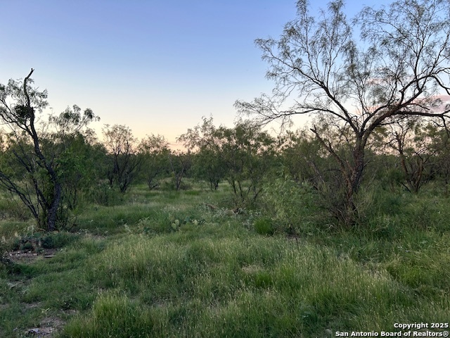 587 Valley Road Christoval, TX 76935 - Photo 38 of 41 a view of a lush green forest with lots of trees