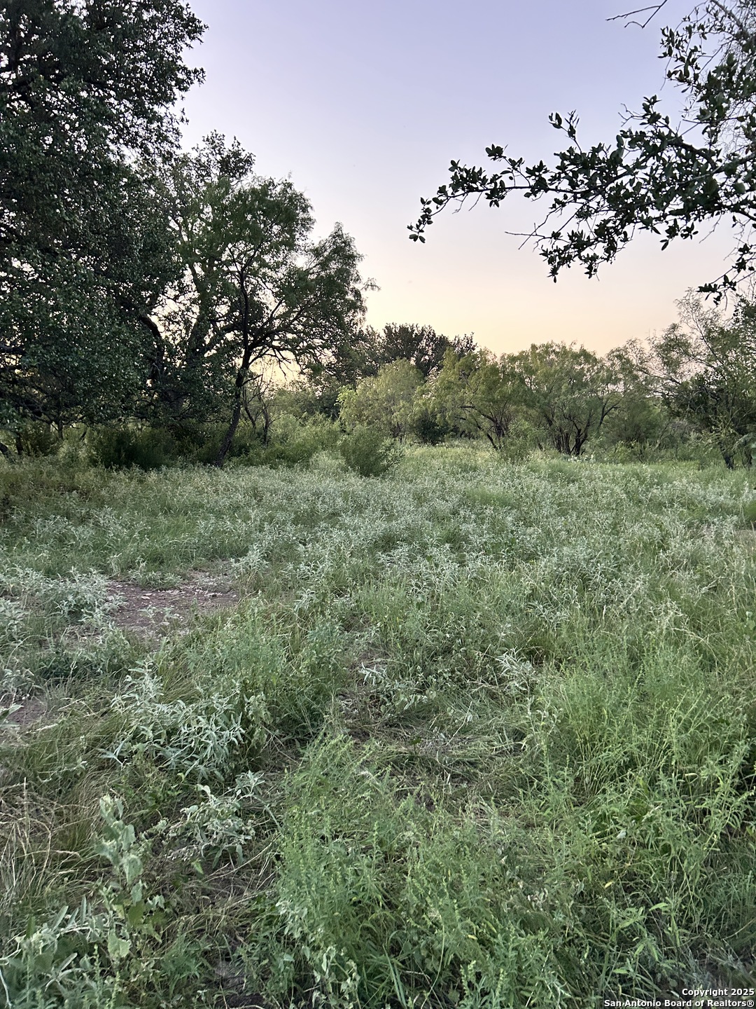 587 Valley Road Christoval, TX 76935 - Photo 39 of 41 a view of a bunch of trees in a field