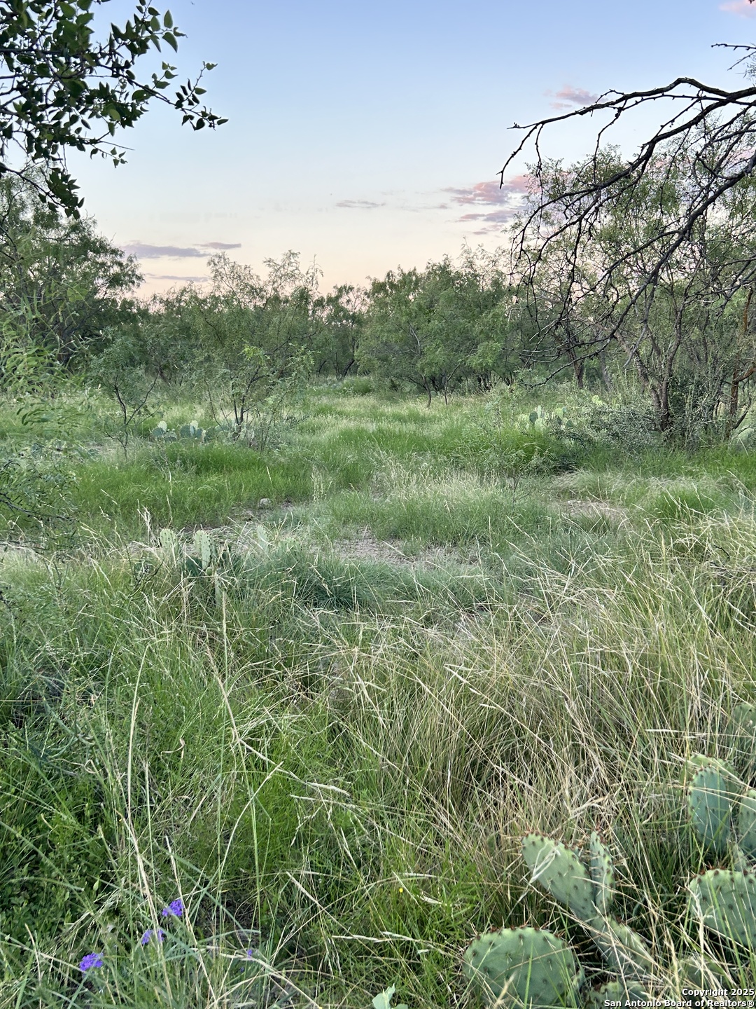 587 Valley Road Christoval, TX 76935 - Photo 41 of 41 a view of a lush green field