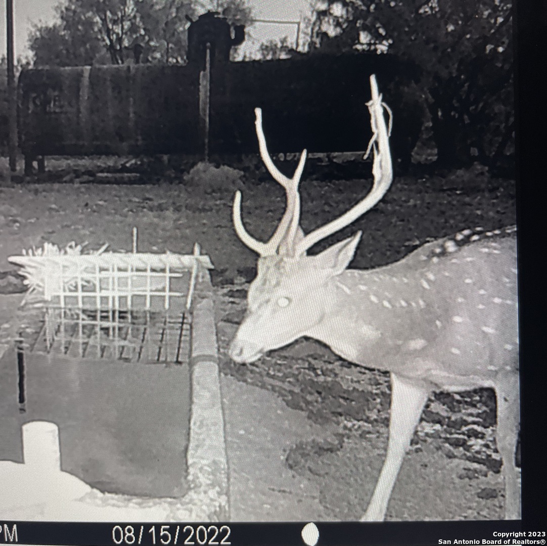 587 Valley Road Christoval, TX 76935 - Photo 5 of 41 a backyard of a house