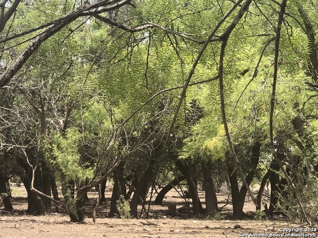 587 Valley Road Christoval, TX 76935 - Photo 6 of 41 a view of a yard with trees