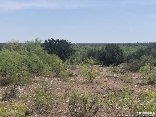 a view of a dry yard with trees in the background