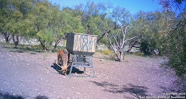 a view of a yard with iron fence