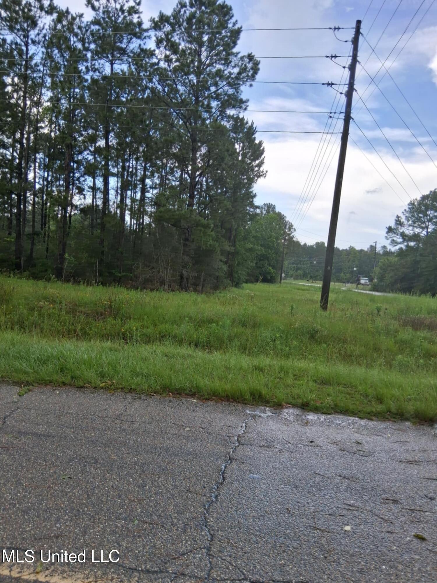 0 Lavelle Ladner Road Lumberton, MS 39455 - Photo 3 of 8 5f61f71f-161f-4697-88ad-1dcecaa93353