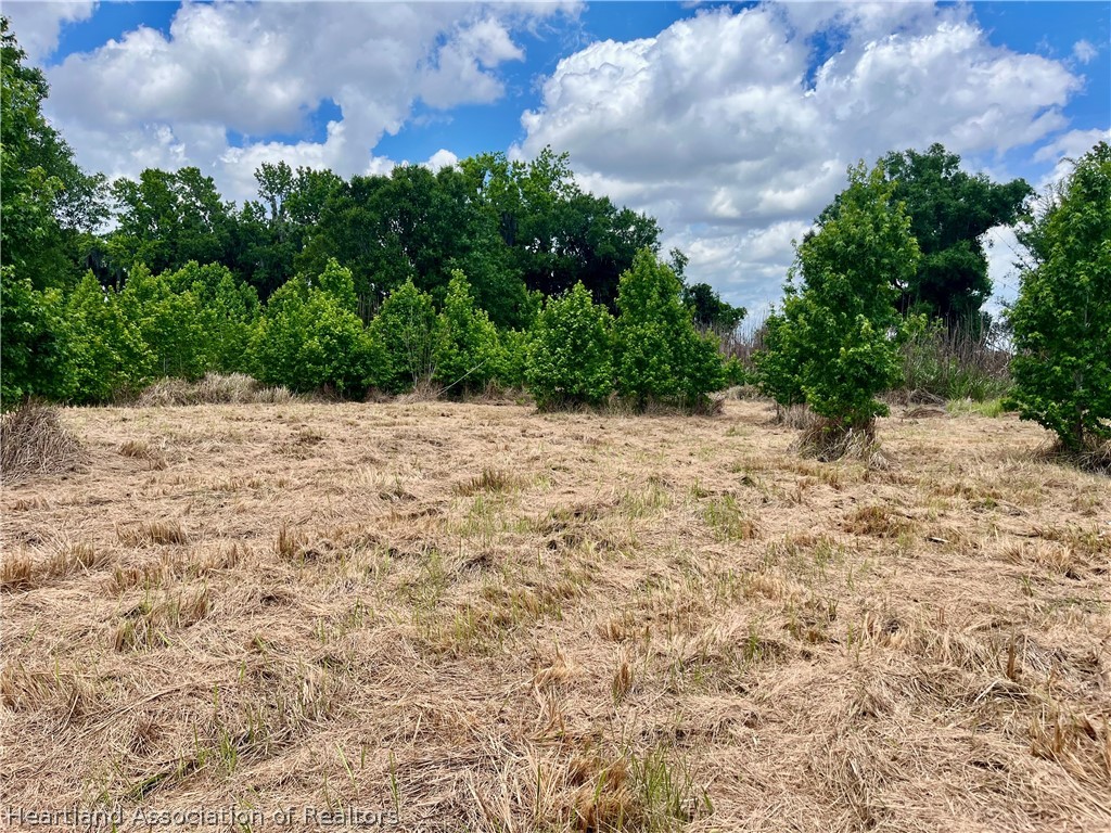 1298 Old Bradenton Road Wauchula, FL 33873 - Photo 6 of 7