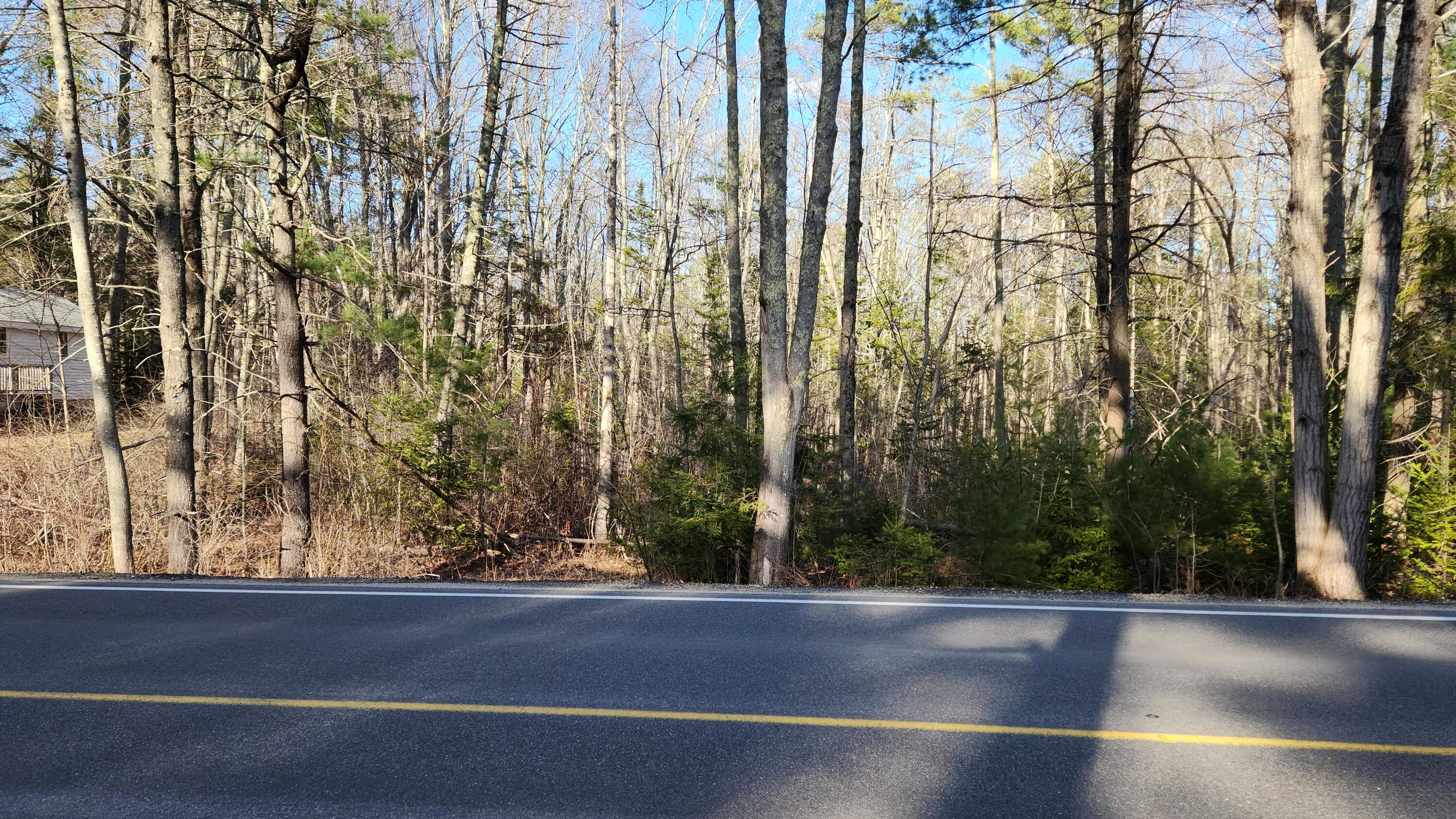 199 Sinnott Road Arundel, ME 04046 - Photo 3 of 19 Wooded section of lot