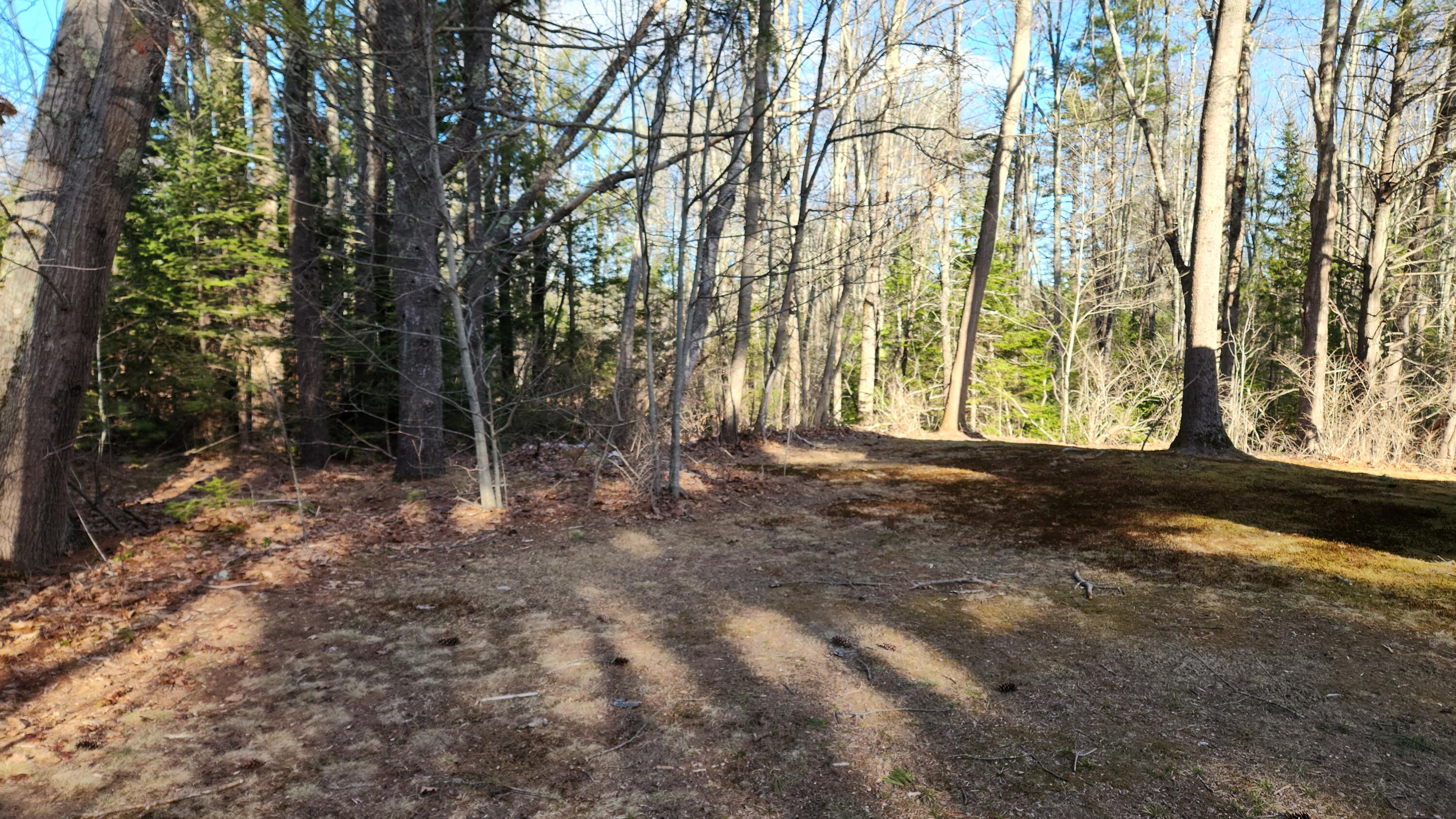199 Sinnott Road Arundel, ME 04046 - Photo 6 of 19 Yard behind home