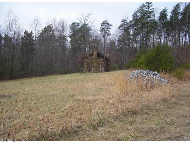 Lot 1 Farm Road Pilot Mountain, NC 27041 - Photo 1 of 1 Exterior Front.