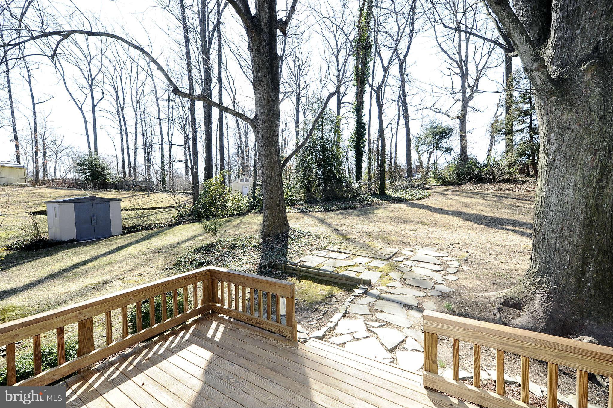 6210 Greeley Boulevard Springfield, VA 22152 - Photo 17 of 19 Exterior (Rear)
