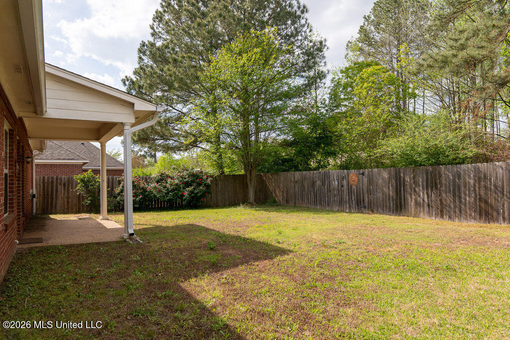 112 Susan Lane Brandon, MS 39042 - Photo 27 of 28 P1228591-HDR