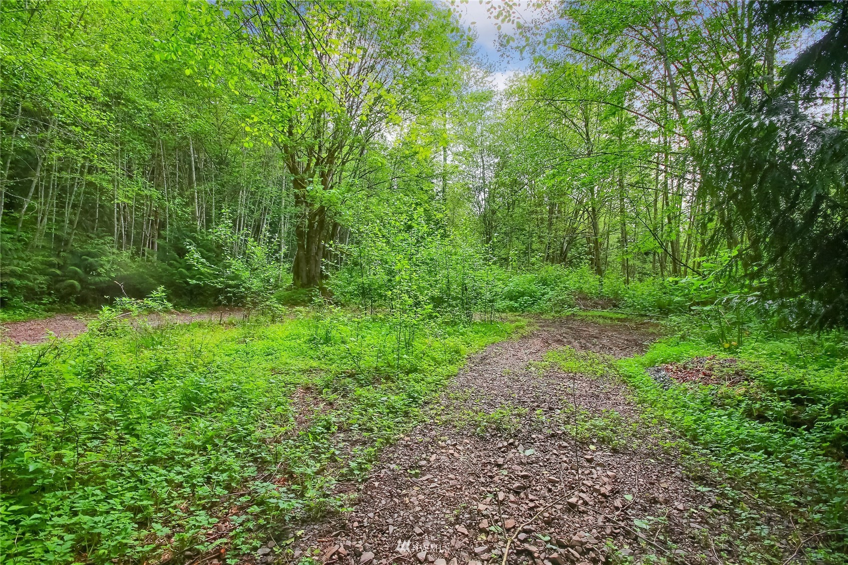 12319 Chain Lake Road Snohomish, WA 98290 - Photo 33 of 38 a view of backyard with green space