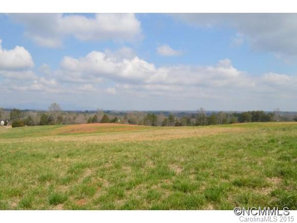 0 Highway 357 Inman, SC 29349 - Photo 2 of 6