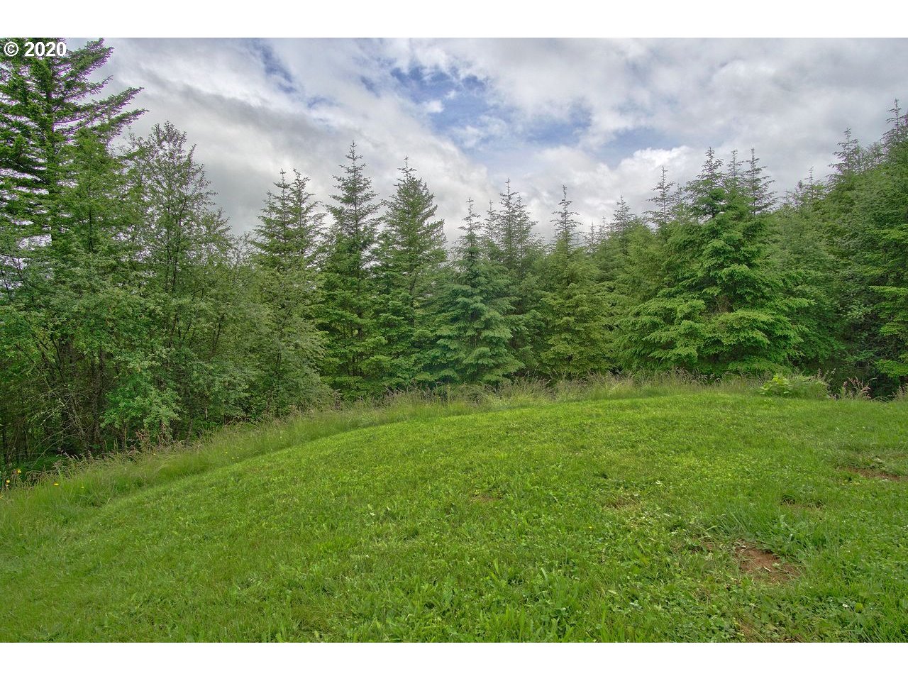 26010 Northeast Hanley Road Yacolt, WA 98675 - Photo 28 of 32 Gallery Image 28