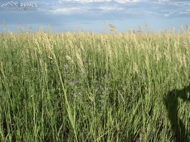 11275 Currier Road Calhan, CO 80808 - Photo 2 of 5 Gallery Image 2