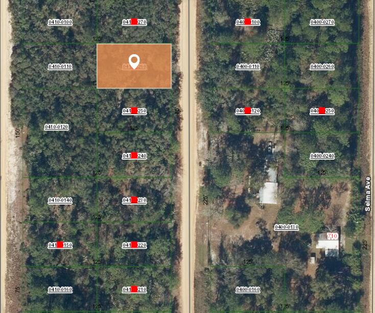 7 Creager Avenue Interlachen, FL 32148 - Photo 2 of 3 Aerial