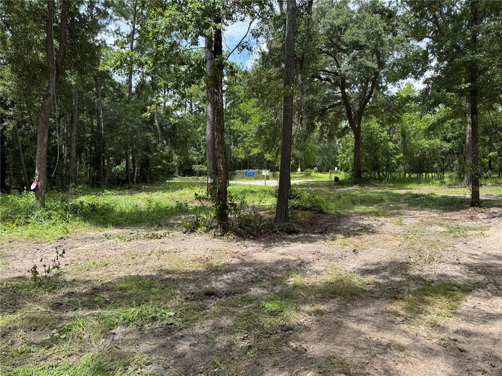 Tbd Waldo, FL 32694 - Photo 6 of 17