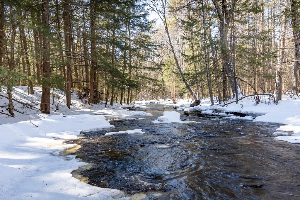 0 Brown Road Royalston, MA 01368 - Photo 14 of 16 Gallery Image 14
