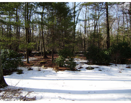 58 Old Orchard Road Sherborn, MA 01770 - Photo 9 of 9 Gallery Image 9