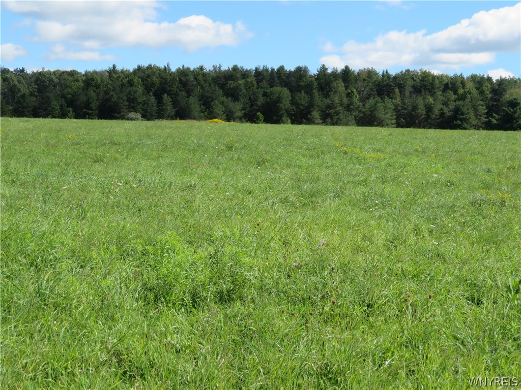 Glinderman Road Fillmore, NY 14735 - Photo 2 of 10 Gallery Image 2