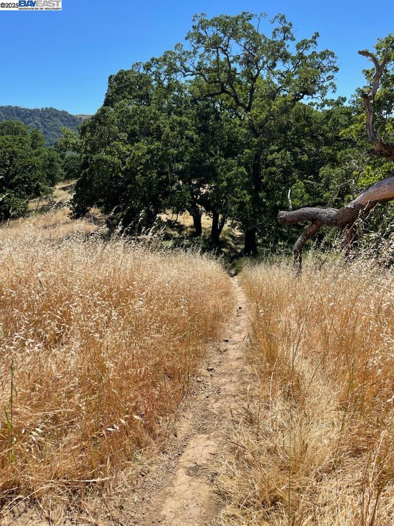 2989 Singalong Way Sunol, CA 94586 - Photo 21 of 24