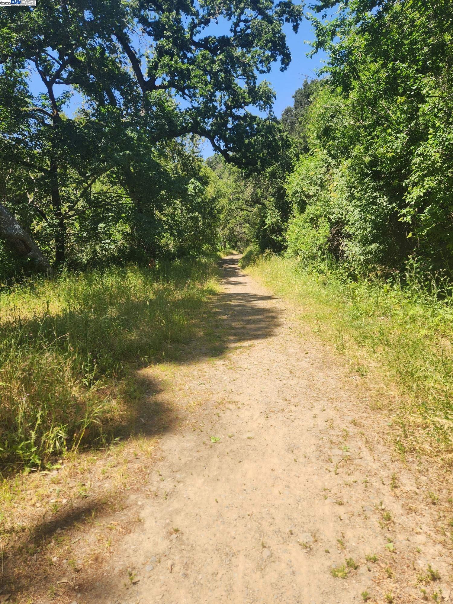 2989 Singalong Way Sunol, CA 94586 - Photo 5 of 24