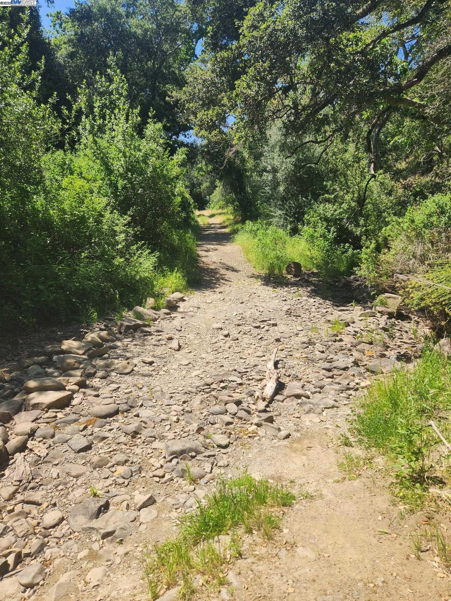 2989 Singalong Way Sunol, CA 94586 - Photo 6 of 24