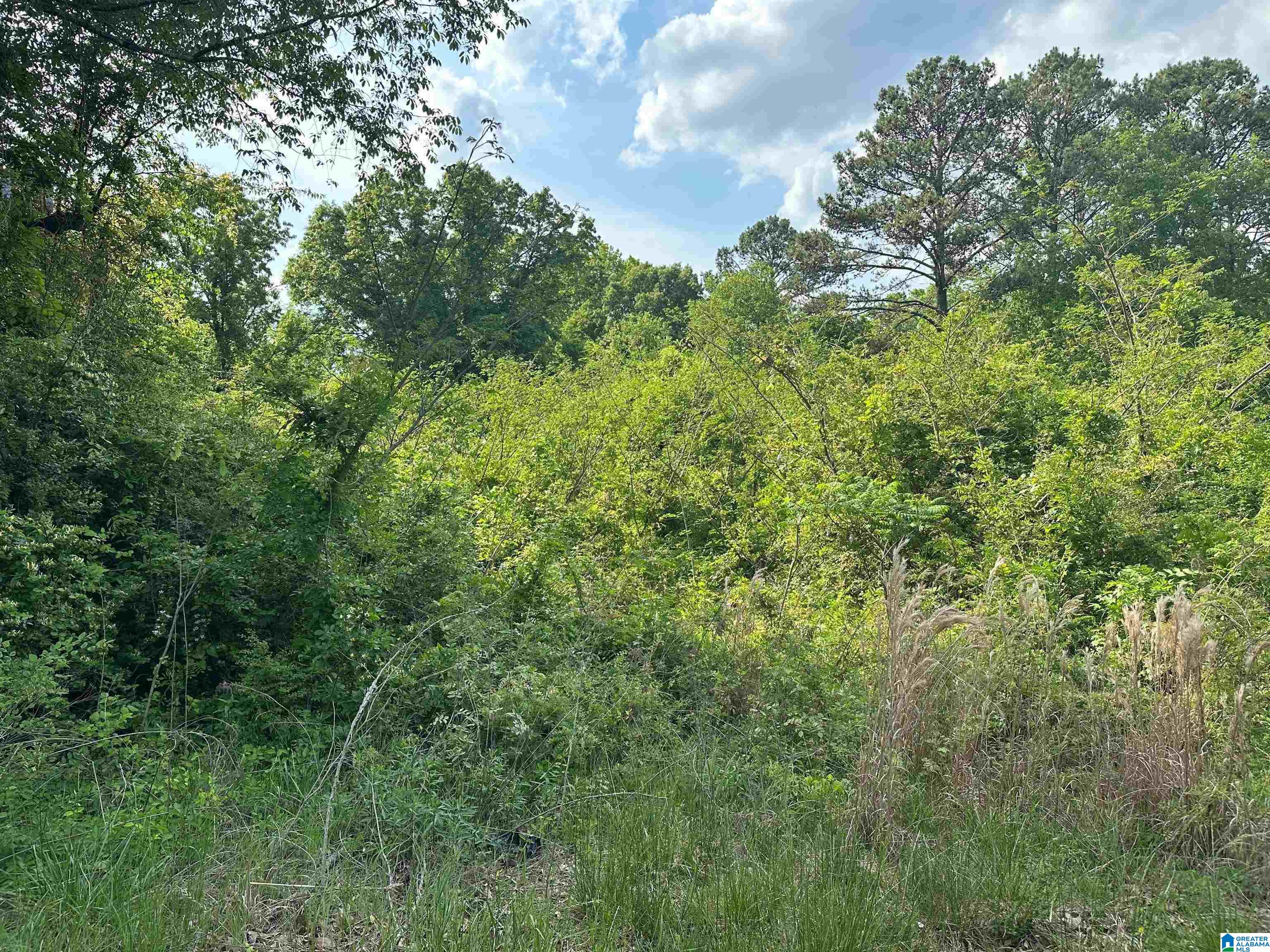 2346 Old Springville Road, Unit 5 Birmingham, AL 35215 - Photo 3 of 3