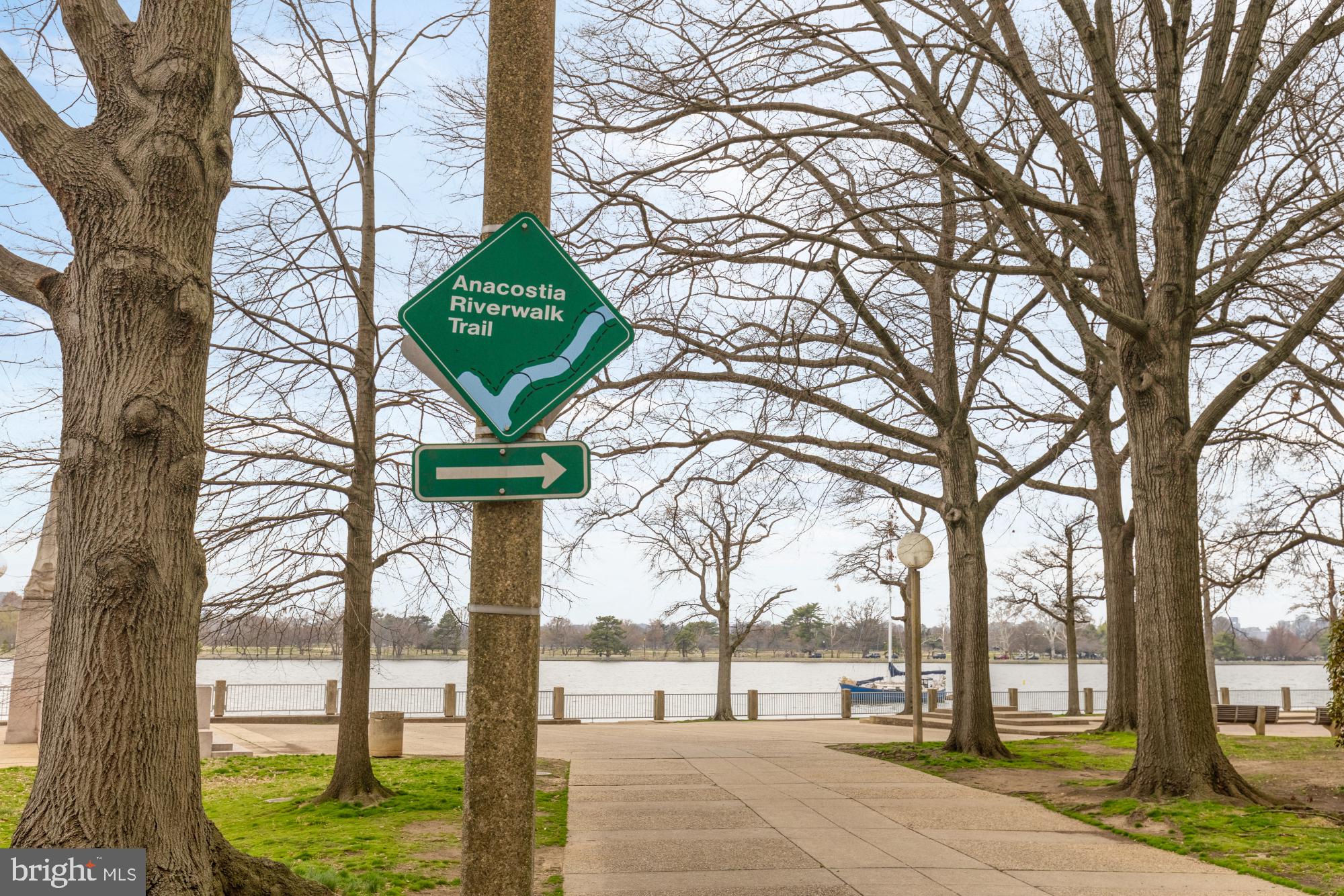 1435 4th Street Southwest, Unit B505 Washington, DC 20024 - Photo 30 of 43