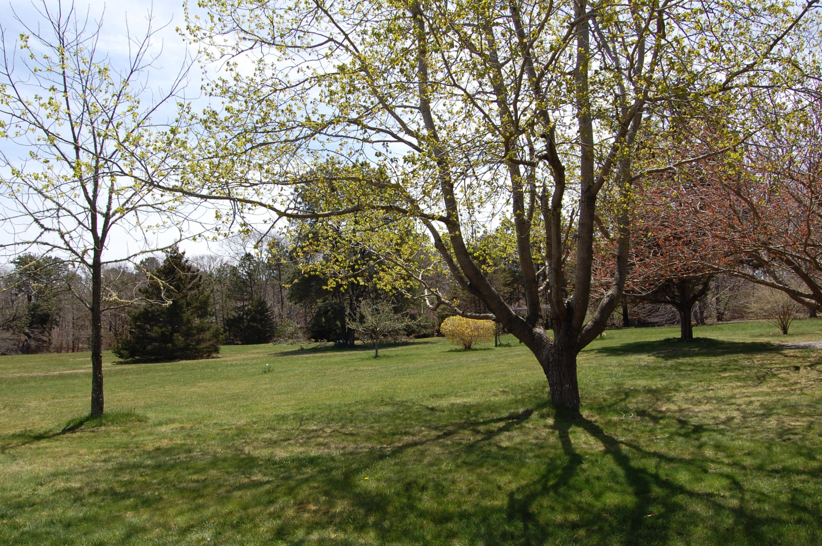 156 S Road Chilmark, MA 02535 - Photo 25 of 41 Gallery Image 25