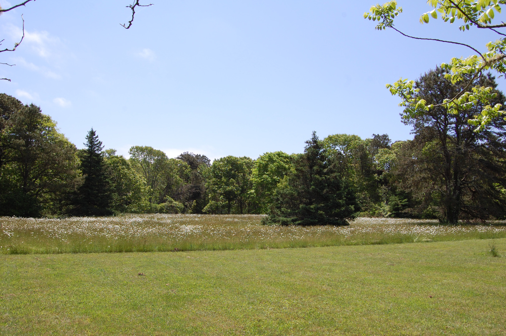 156 S Road Chilmark, MA 02535 - Photo 32 of 41 Gallery Image 32