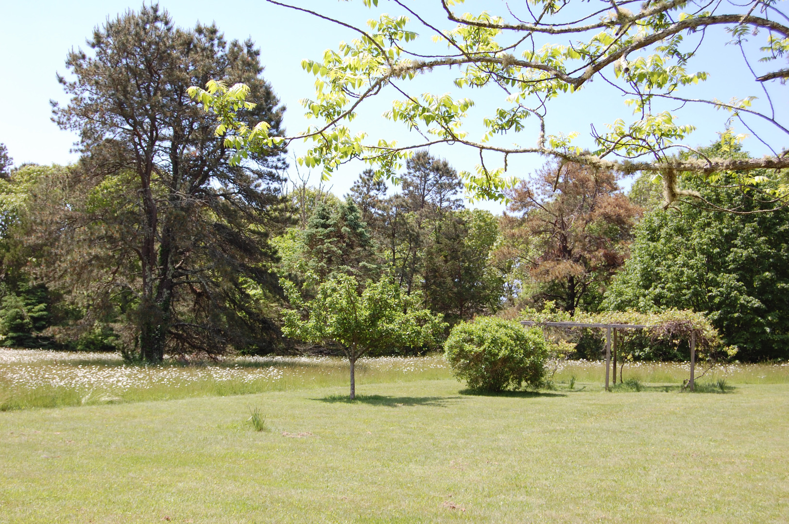 156 S Road Chilmark, MA 02535 - Photo 33 of 41 Gallery Image 33