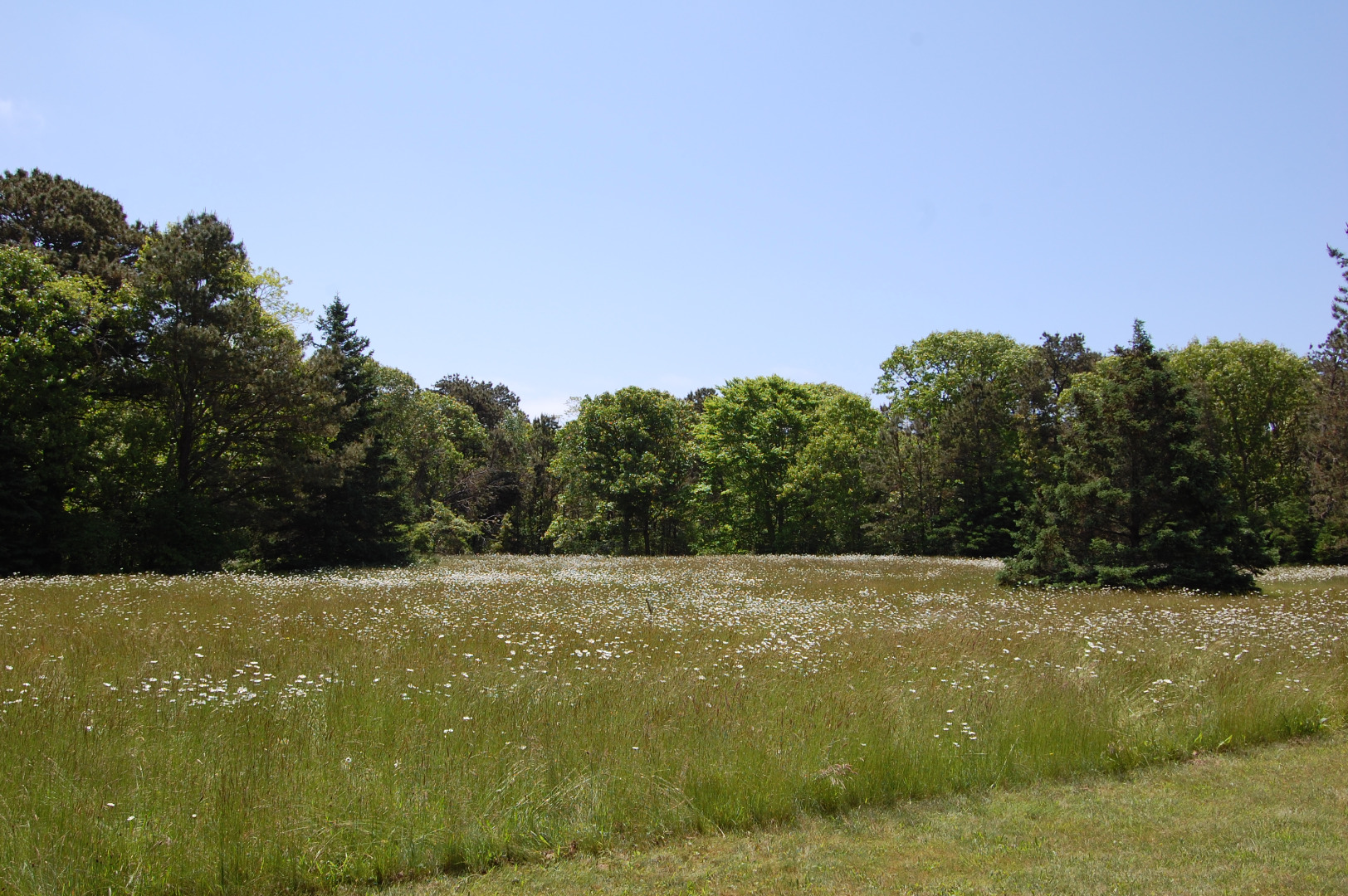 156 S Road Chilmark, MA 02535 - Photo 34 of 41 Gallery Image 34