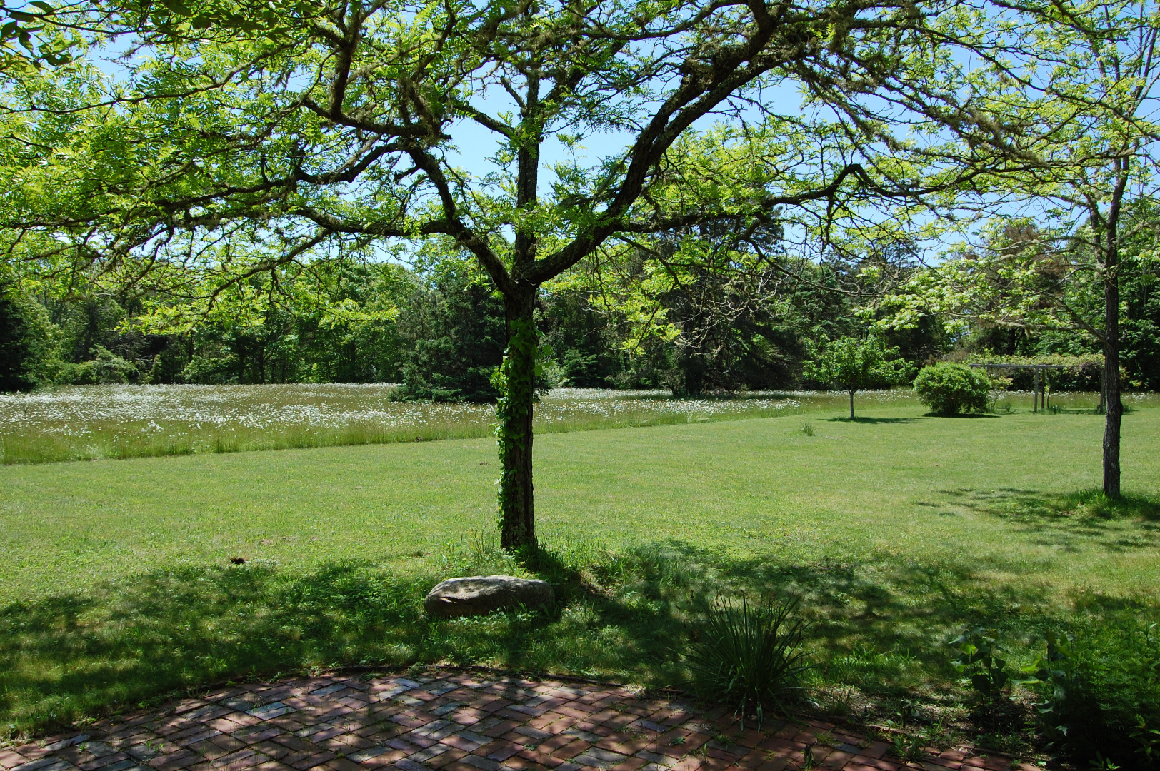 156 S Road Chilmark, MA 02535 - Photo 39 of 41 Gallery Image 39