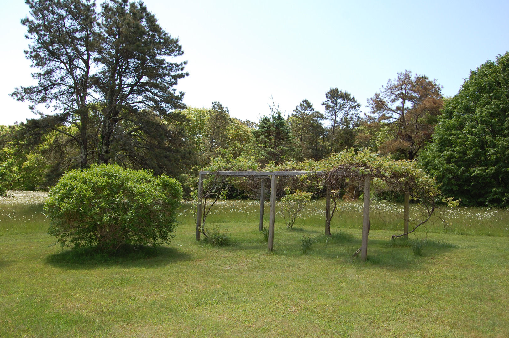 156 S Road Chilmark, MA 02535 - Photo 40 of 41 Gallery Image 40