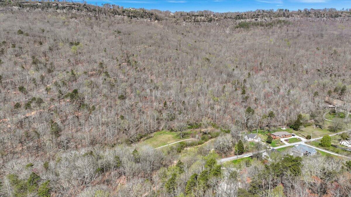 1009 Reads Lake Road, Unit LOT # 7 Chattanooga, TN 37415 - Photo 6 of 16 04-Pinnacle Tour - 1009 Reeds Lake - 04