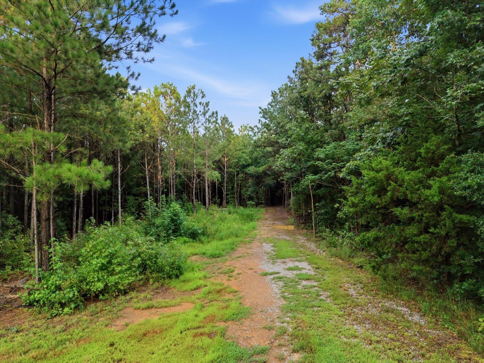 0 Washboard Road Southeast Old Fort, TN 37362 - Photo 12 of 12 Gallery Image 12
