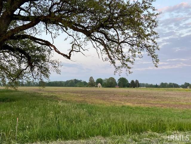0 West Division Road Yorktown, IN 47396 - Photo 3 of 18