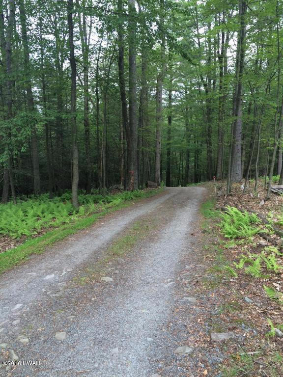 139 Dirk Road Tafton, PA 18464 - Photo 37 of 37 37 Driveway