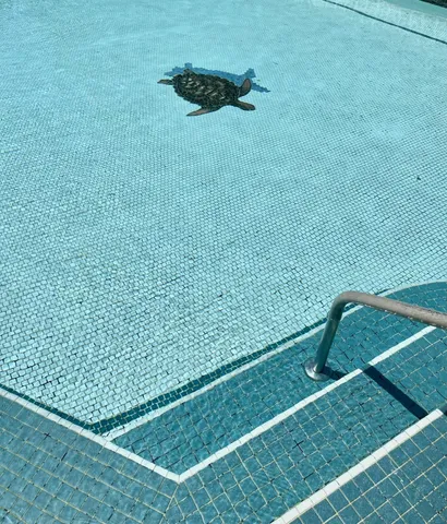 a view of a back yard