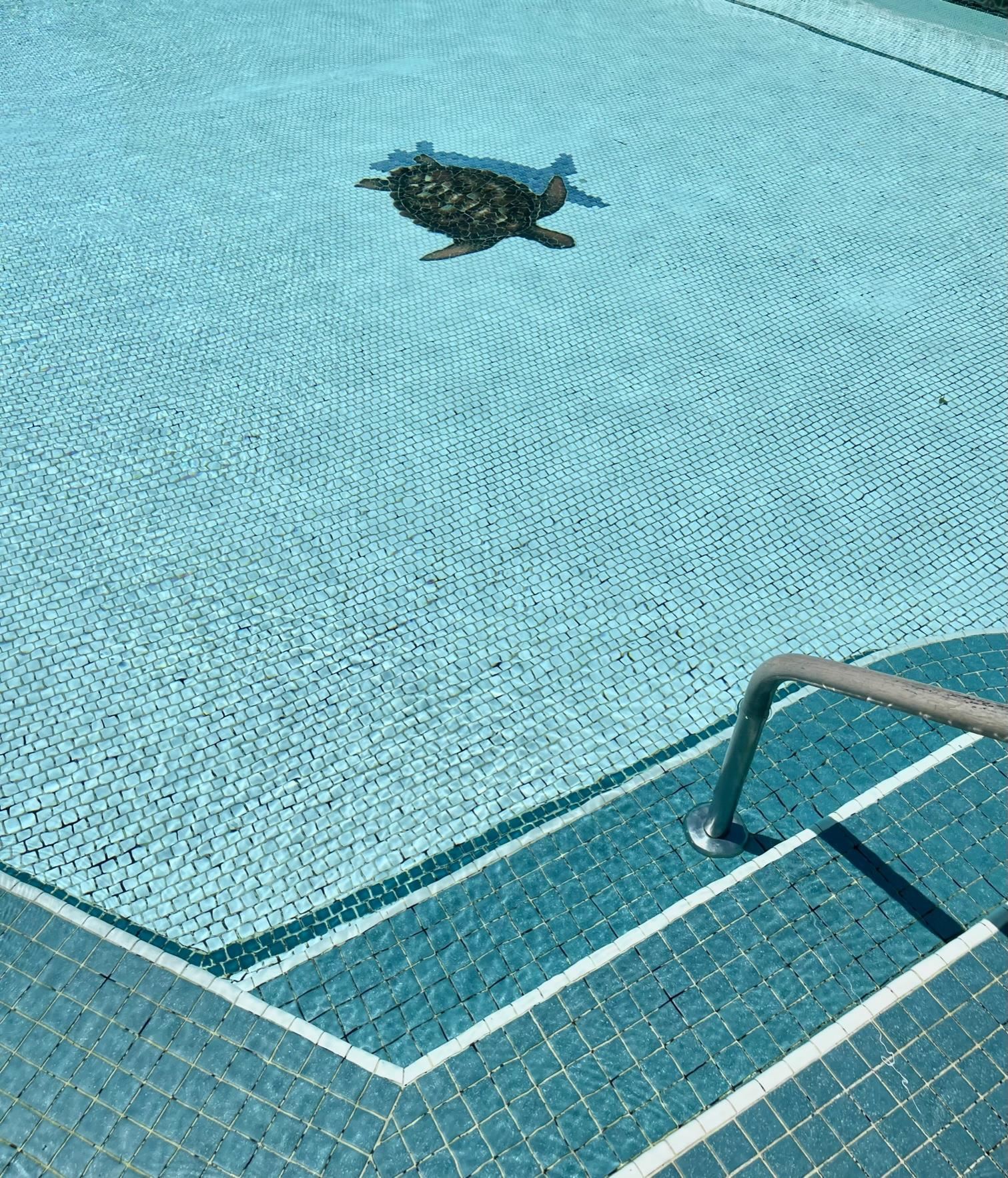 111 Kahului Beach Road, Unit D112 Kahului, HI 96732 - Photo 11 of 29 a view of a back yard