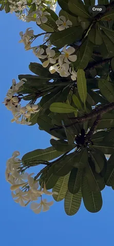a view of a city with lake view