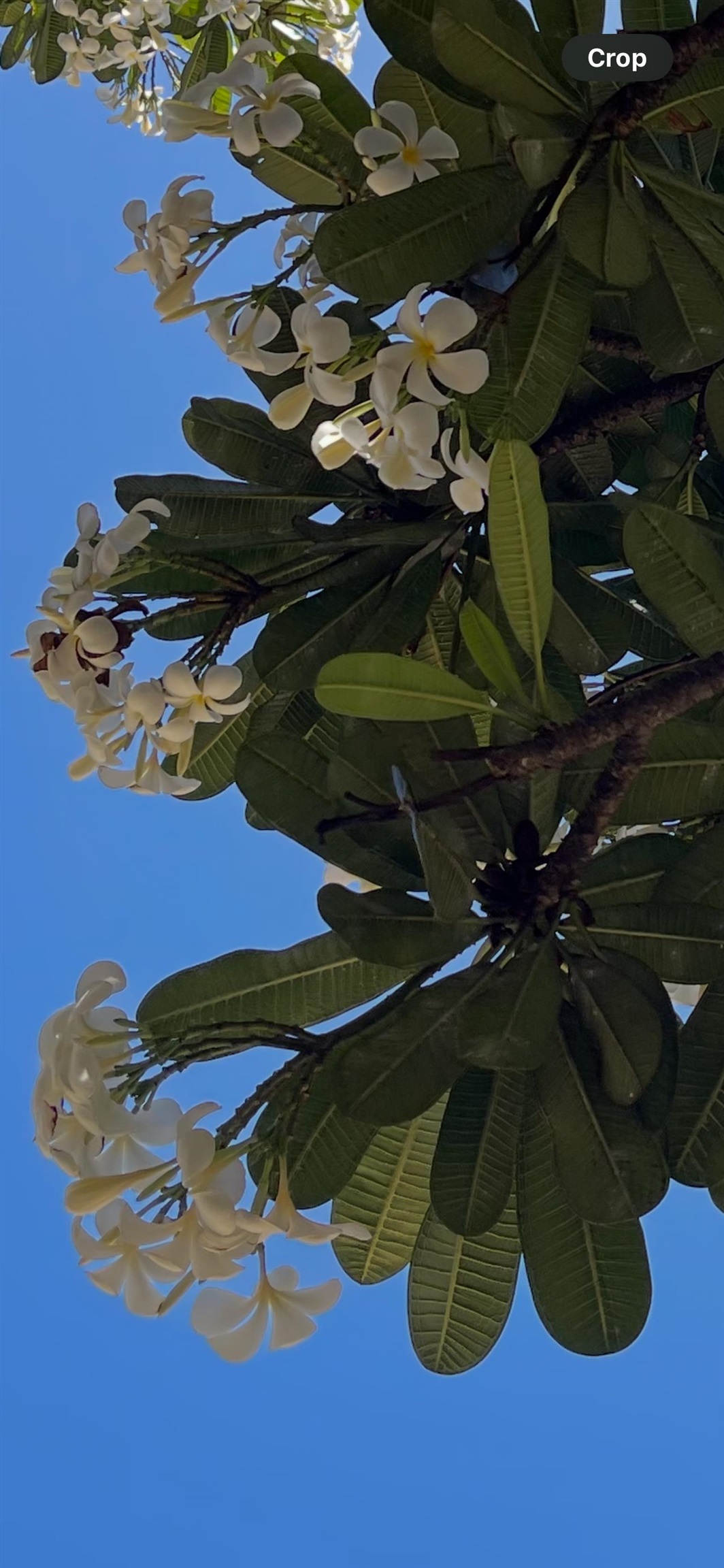 111 Kahului Beach Road, Unit D112 Kahului, HI 96732 - Photo 23 of 29 a picture of water heater room