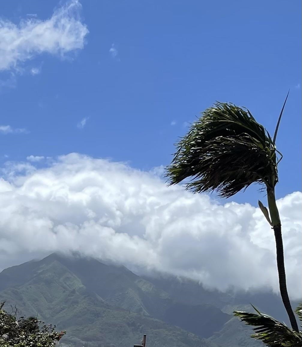 111 Kahului Beach Road, Unit D112 Kahului, HI 96732 - Photo 26 of 29 a view of a pathway